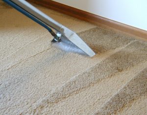 Brisbane Commercial Cleaning Carpet Cleaning